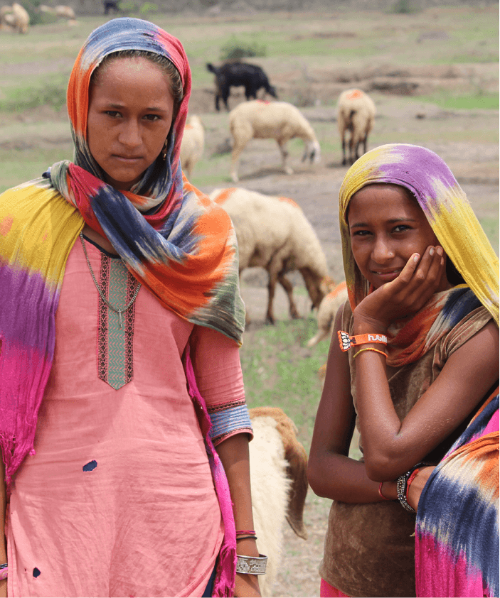 Saurashtra Breeders’ Association