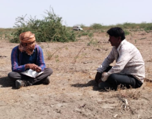 Understanding the socio-economic status and socio-ecological interactions of the Wadha community in the Banni grasslands